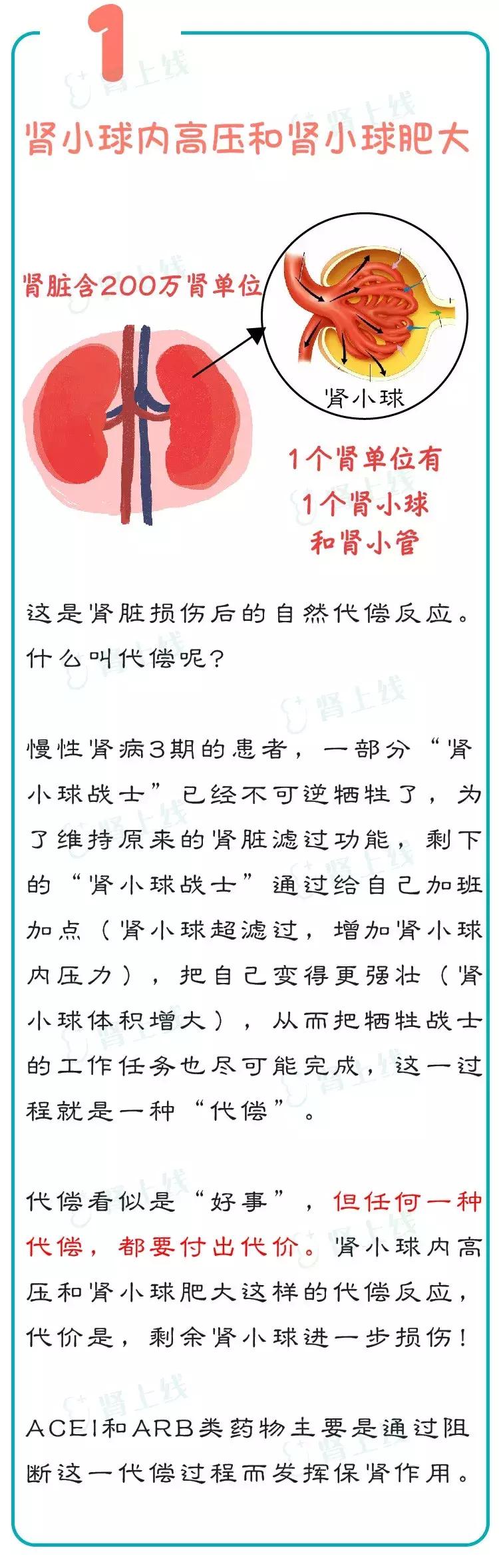 慢性肾病三期还能不能治愈,慢性肾病一定会发展尿毒症吗