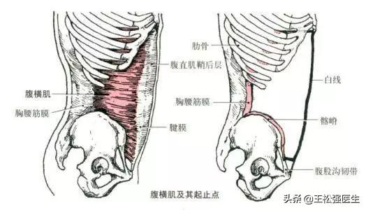 腰4-5椎间盘突出最好的治疗方法,不是所有的腰痛都是腰间盘突出