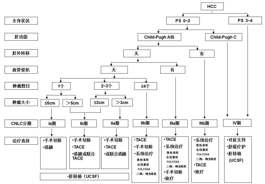 最新！卫健委公布原发性肝癌治疗规范（2019）要点解析