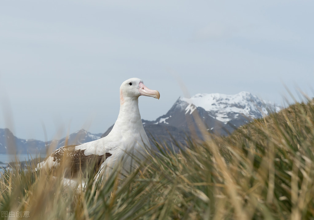 迪奥品牌背后的唯美故事,迪奥最开始的样子