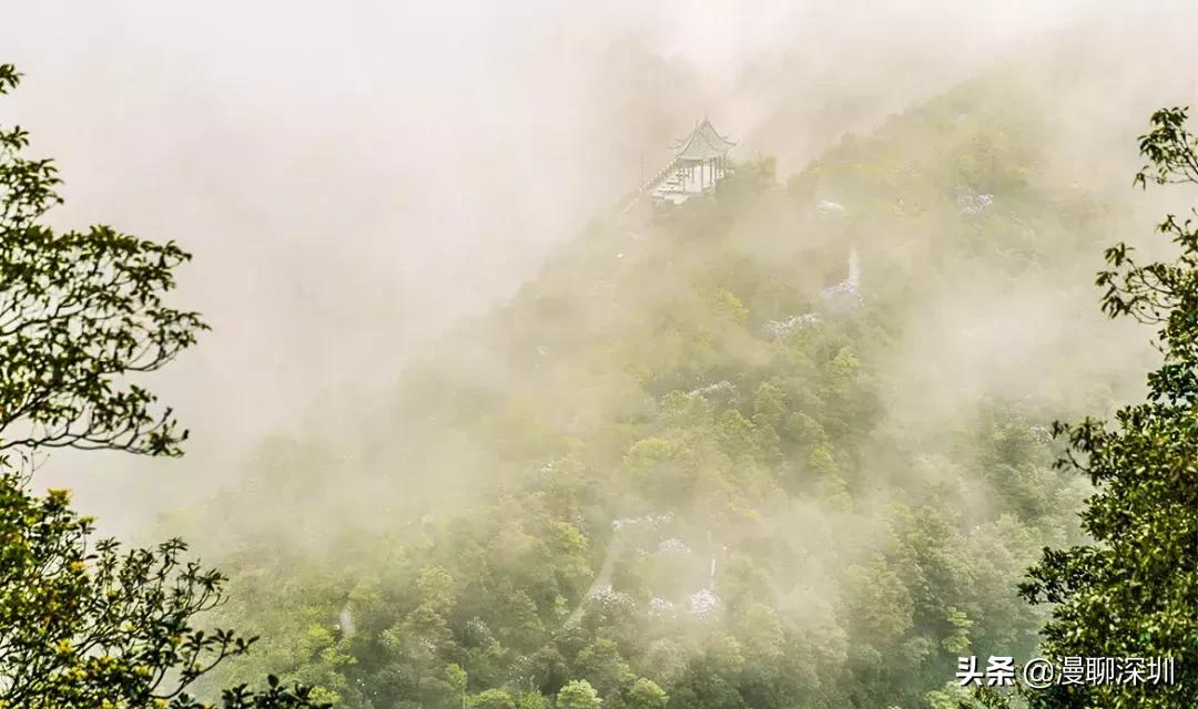 深圳空气中氡含量全国第一,深圳市负氧离子大概是多少