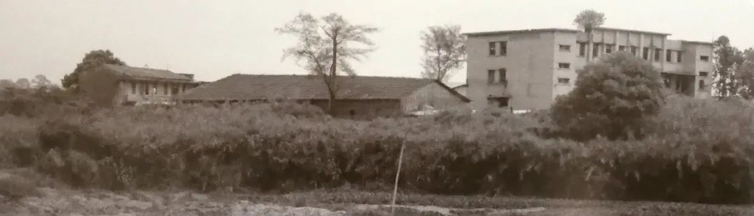 美丽鹅城,最美鹅城