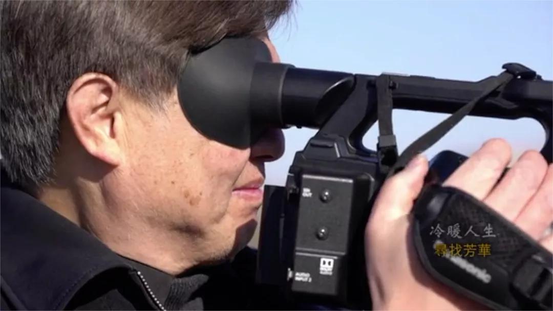 寻找过去的芳华,冷暖人生春草寻找生母