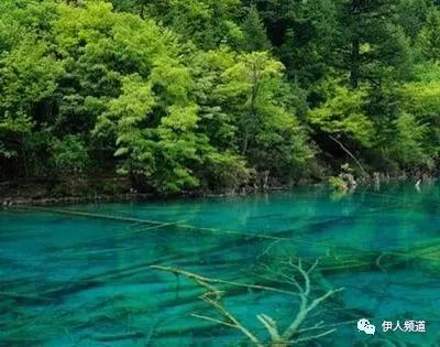 预习//部编教材七年级上册第一课《春》