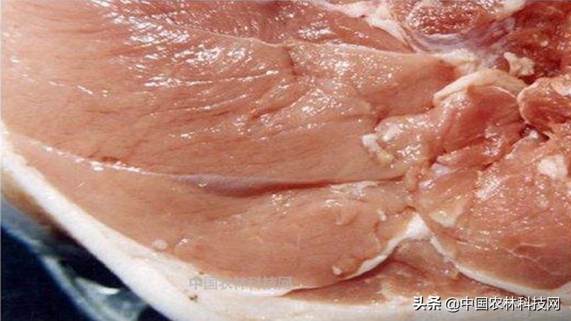 春节快到了买年货注意什么,过年海鲜干货类年货必备