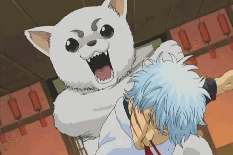 《红楼梦》的细枝末节中，隐藏着泼天富贵