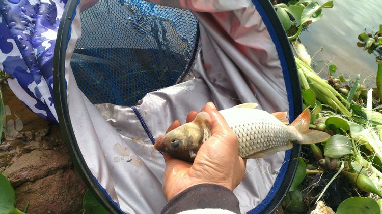 昆明周边露营野钓最佳地方,昆明周边风景优美的野钓地方