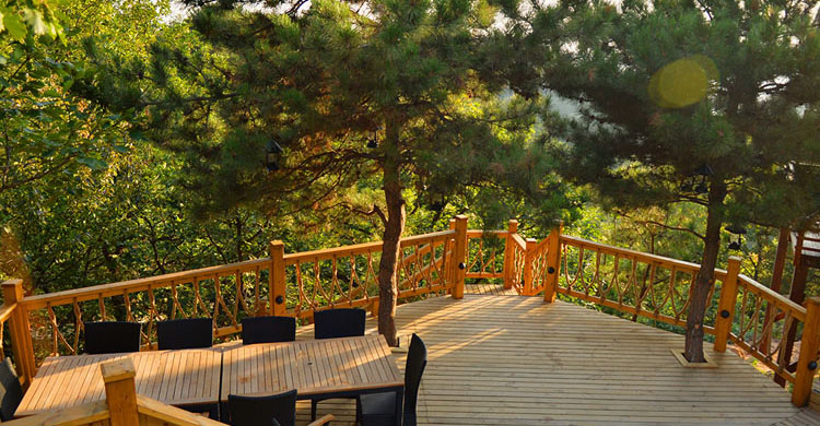 疫情退散便是花开之时,疫情退散之时花开之日