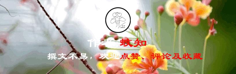 大脑前叶切除术治疗精神病,精神病恐怖案例