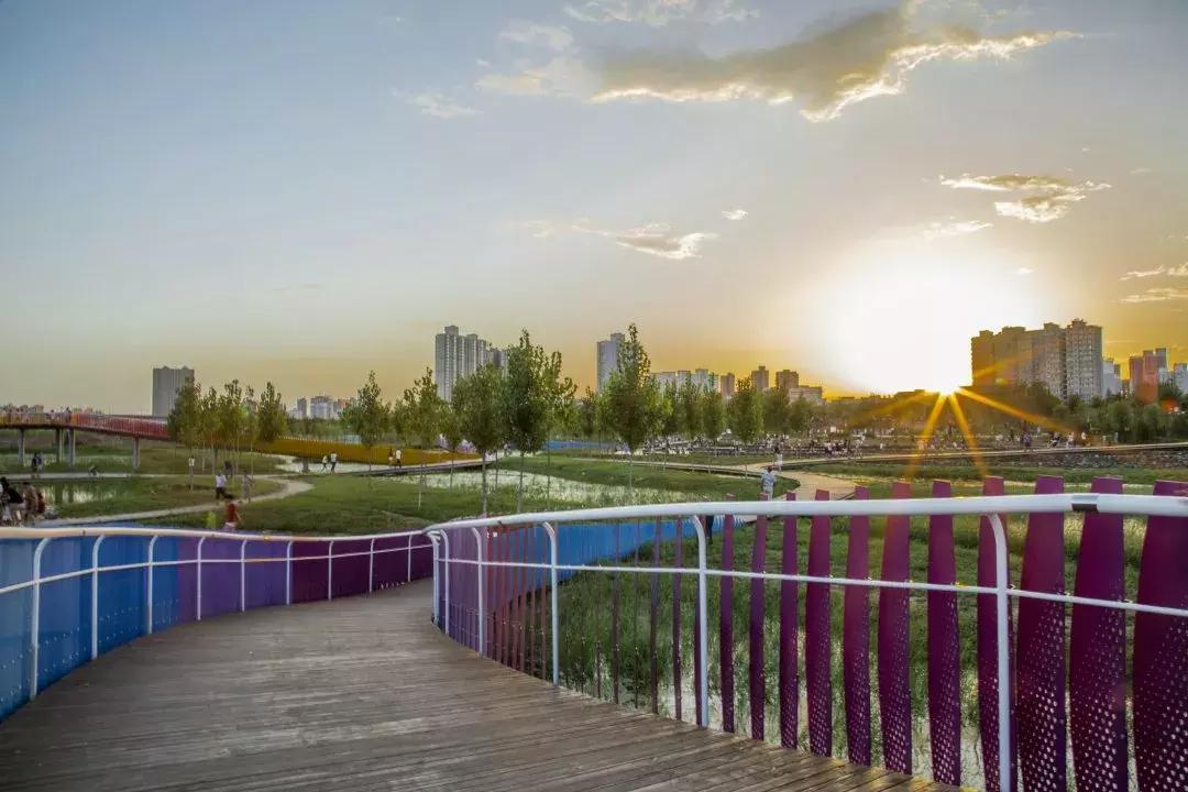 咸阳3号桥河堤路南岸湿地公园,咸阳太平镇孙家堡湿地公园