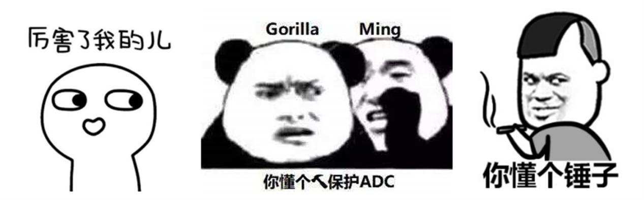 英特尔11代和12代笔记本怎么选择,英特尔笔记本11代怎么样