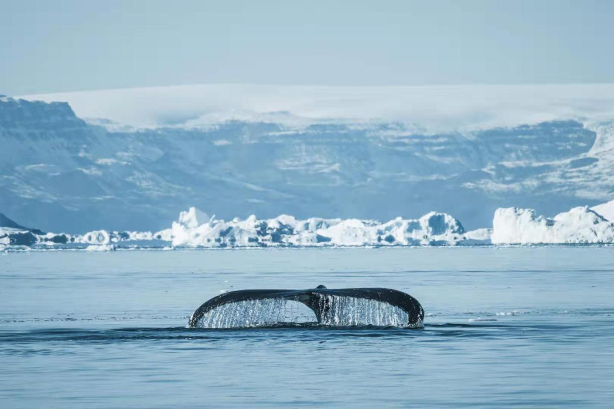 海澜之家极寒鹅绒服,海澜之家羽绒服极寒