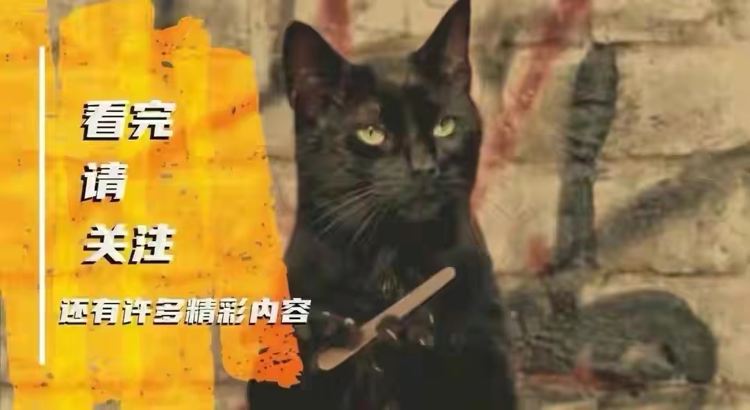 房子漏了用什么补,房子漏个洞怎么补