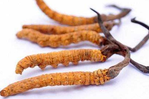 冬虫夏草被踢出了保健品名录,国家食药监局澄清冬虫夏草