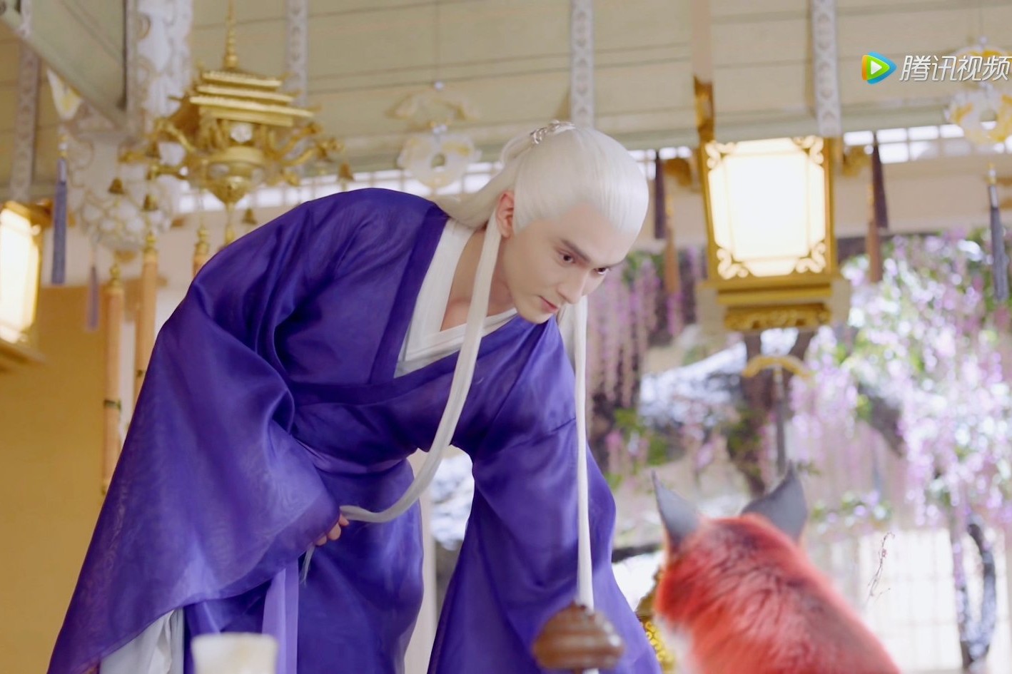 三生三世枕上书姬蘅掉入悬崖,三生三世枕上书姬衡是不是假失忆