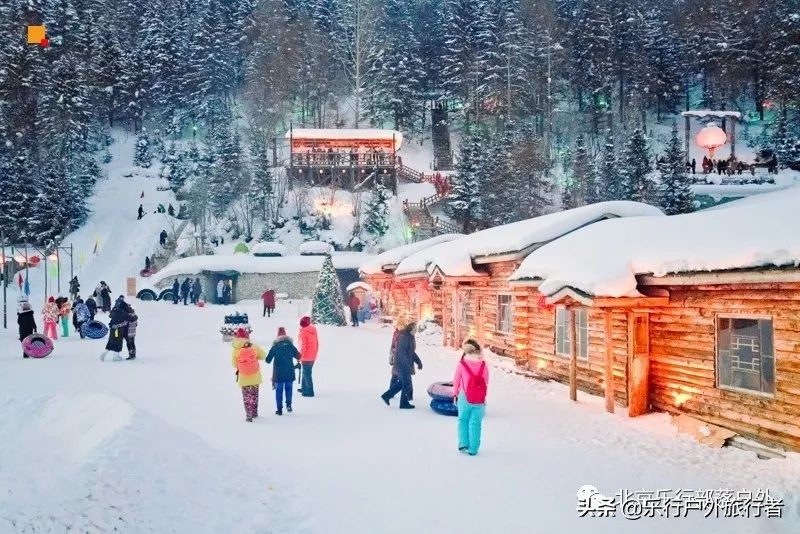 冬天漠河白桦林童话世界完整视频,冰雪大世界长白山雪乡六天五晚