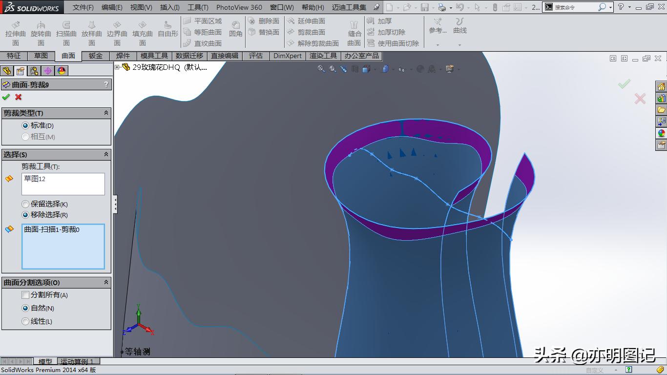 solidworks玫瑰花建模教程,玫瑰花建模solidworks尺寸图