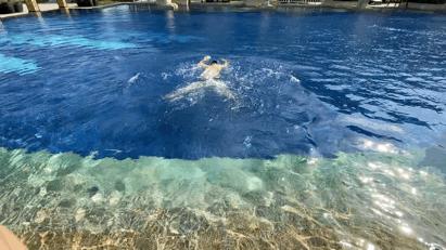 文昌温德姆酒店什么档次,文昌温德姆至尊豪廷酒店