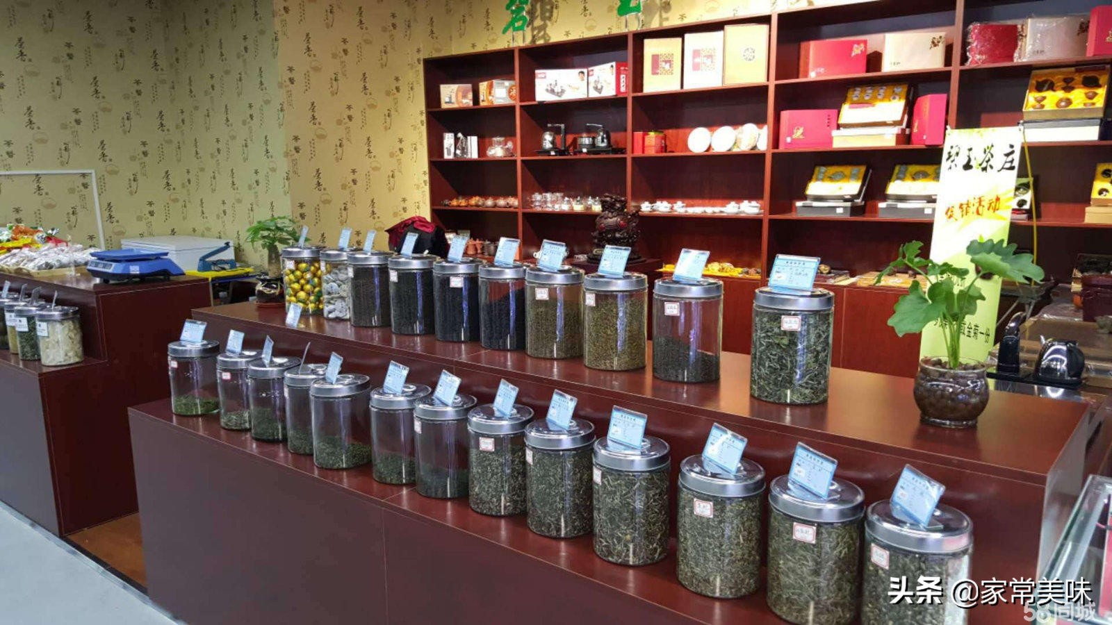 茶叶的种类及中国十大名茶,中国十大名茶和茶叶品牌有哪些呢