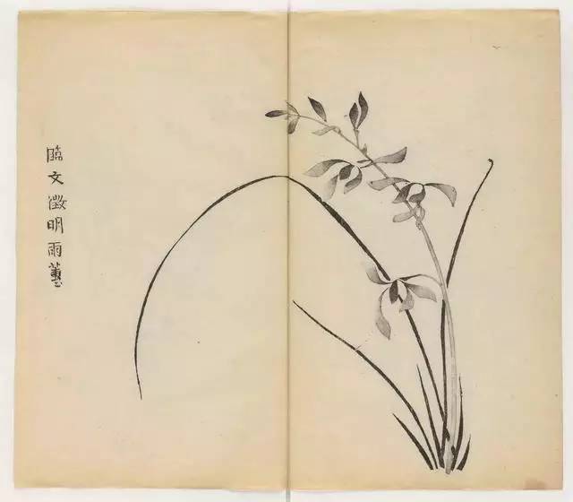 毛笔怎么画兰草,怎么画兰花和书法