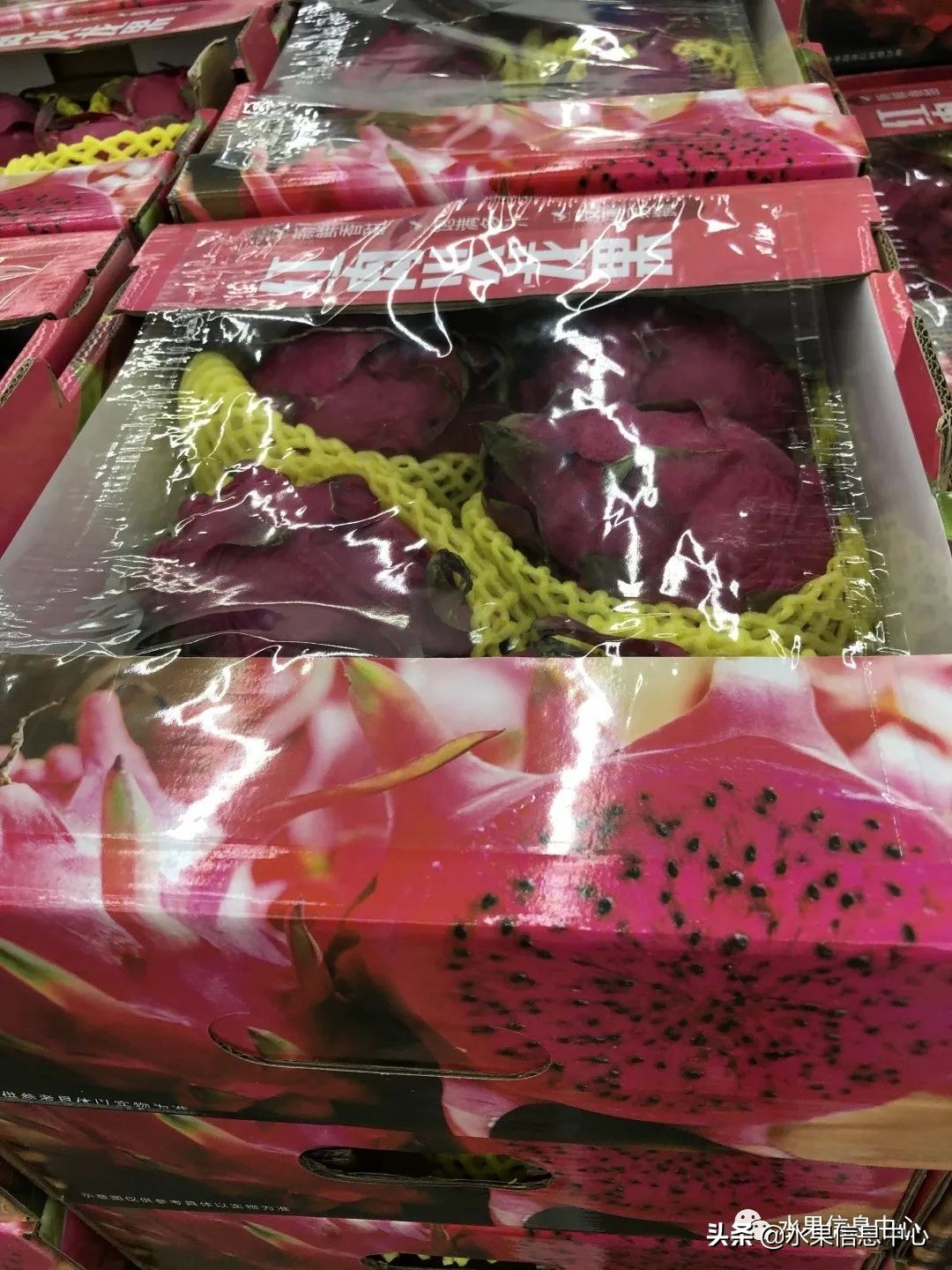 中秋节前，走访两家水果零售店，水果标准化在这里体现的淋漓尽致