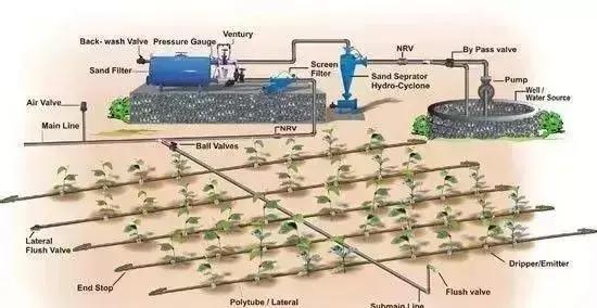 物联网水肥一体化以色列,菜吧家庭农场运营