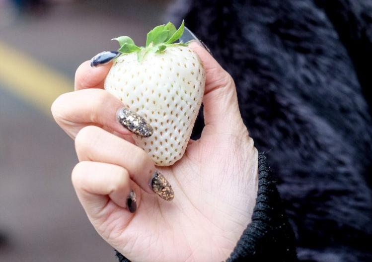 世界上最贵的水果前20种,世界最贵的水果是哪六种