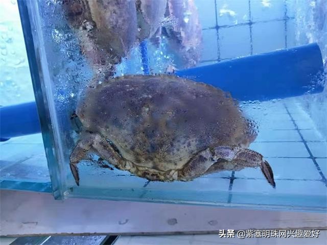 换一个角度享受生活乐趣,日照吴家台渔家乐推荐