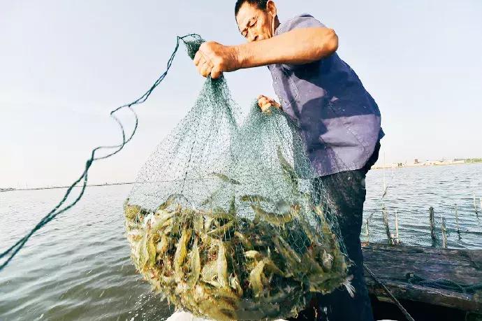 有一种炫富叫青岛开海,有一种炫富叫青岛开海了