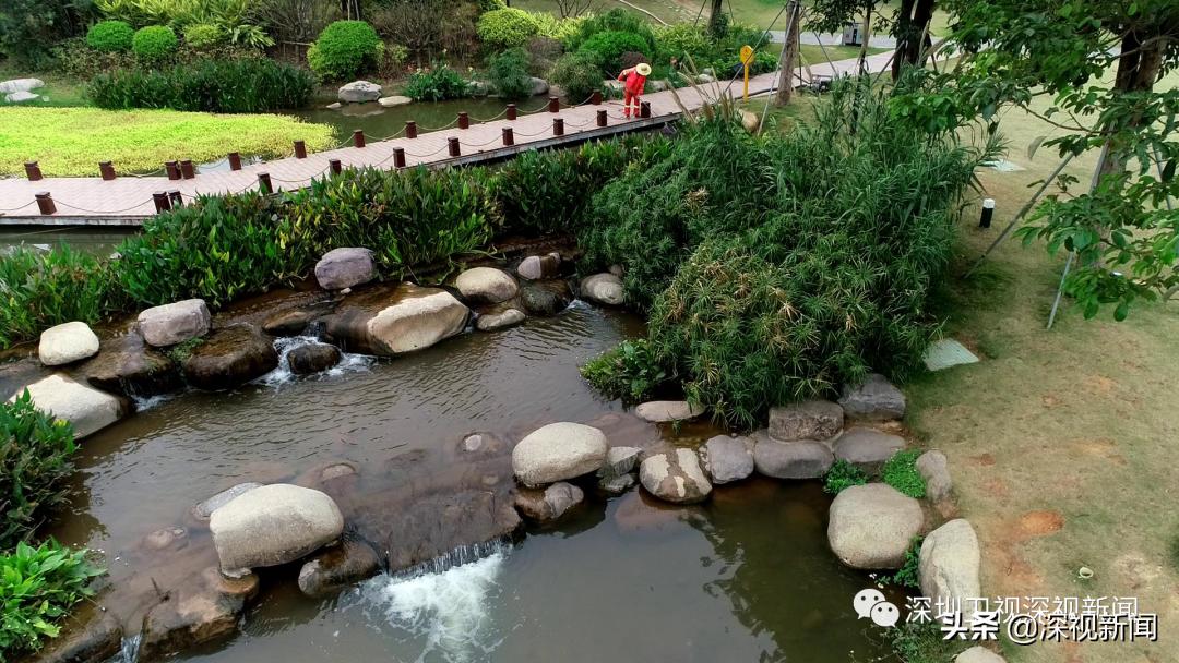 深圳市水务集团董事长胡嘉东,胡嘉东深圳水务局