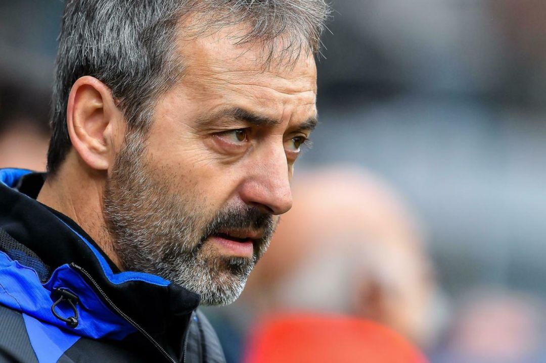 米兰干枯的根坏了,米兰一半枝条干枯死了咋回事