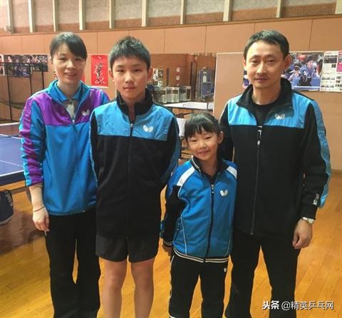 网友对张本智和的评价,张本智和吼叫声合集