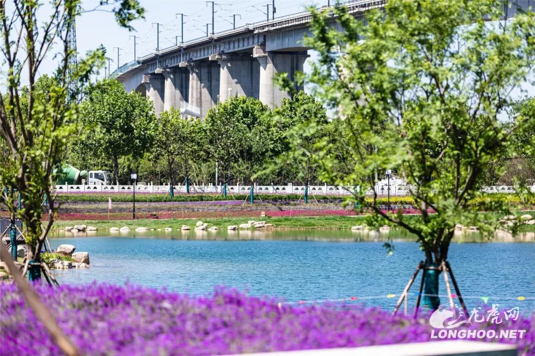 南京秦淮老城区,南京老城南秦淮河畔