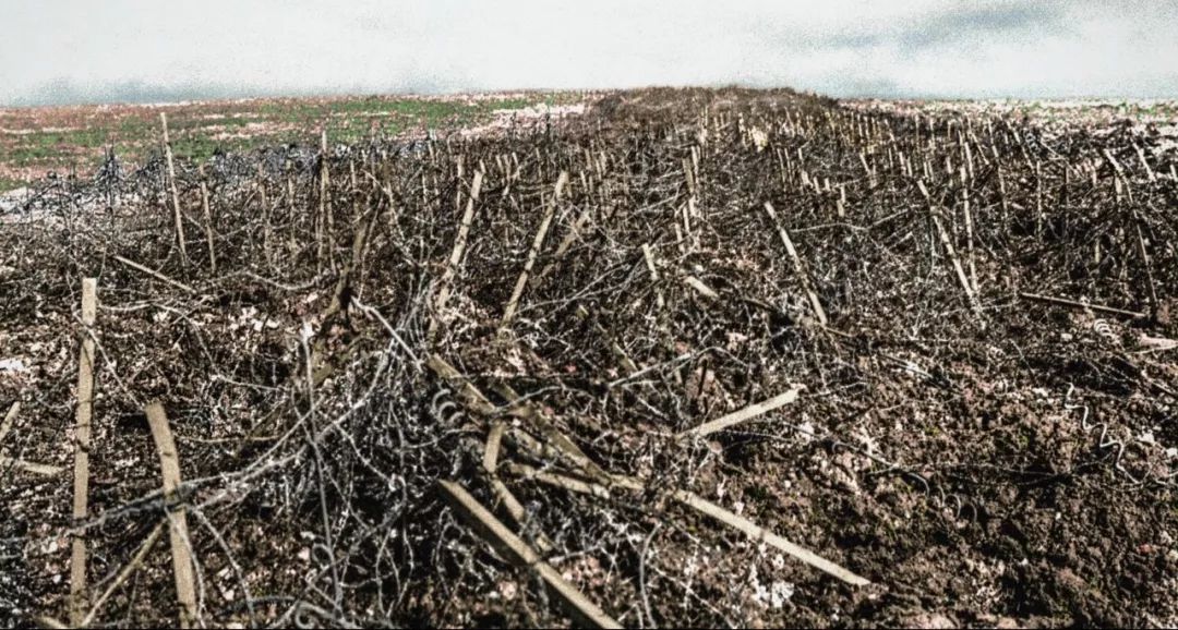 最近上映的电影豆瓣,最近上映的院线电影豆瓣评分