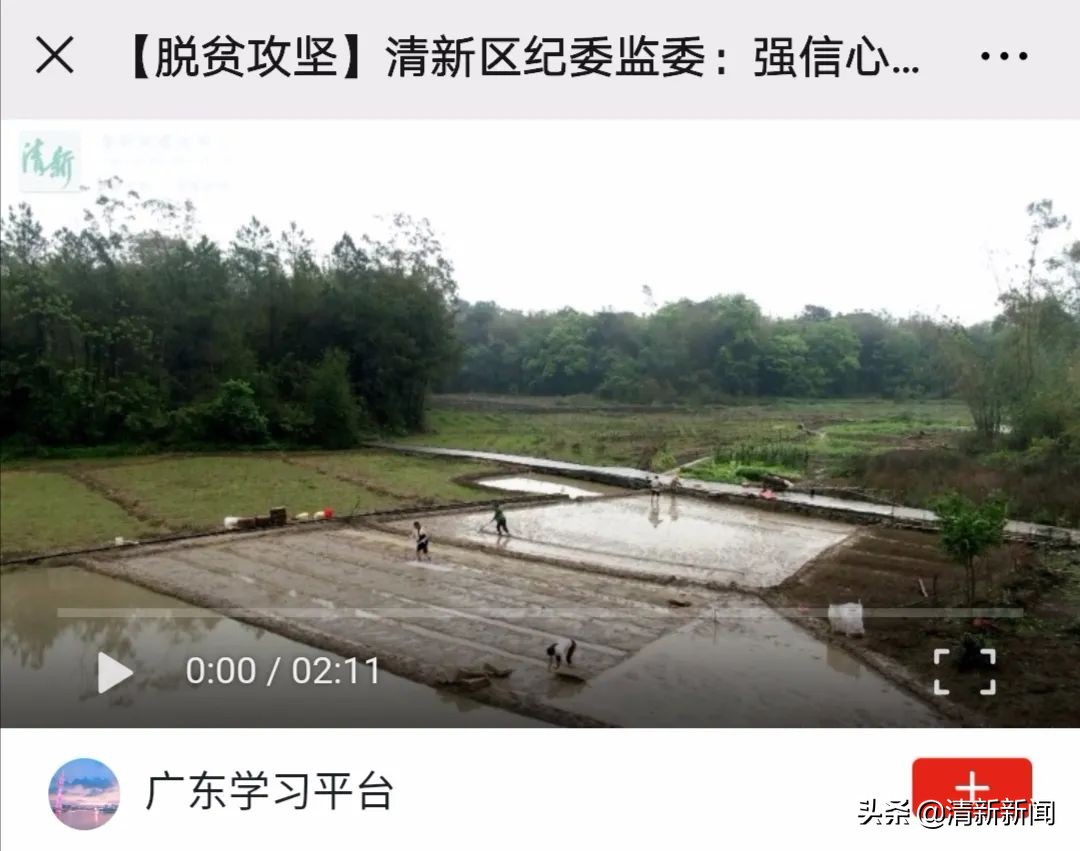 驻村工作队帮村销售散养鸡,驻村干部帮助村民销售农产品