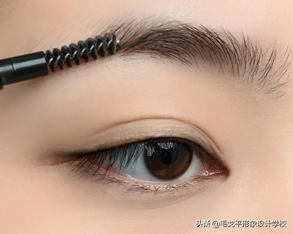 教你修出精致好看的眉形,这可能是史上最全的变美攻略
