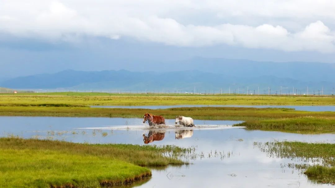 西安甘南自驾最佳线路攻略,甘南自驾3-4天最佳线路攻略