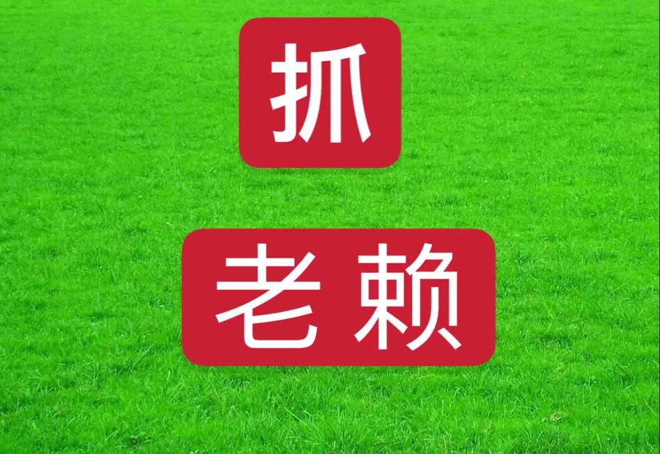 执行律师是怎么处理执行案,执行案件结案如何恢复执行