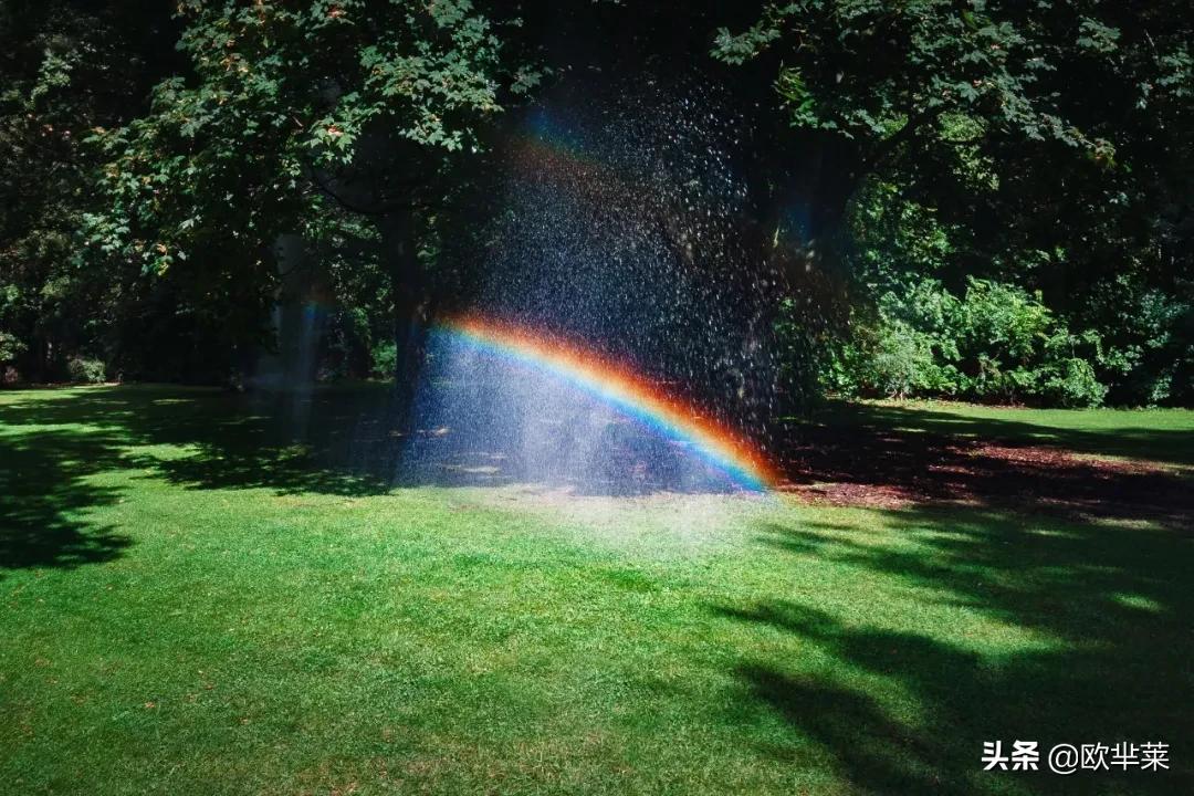 那些彩虹的摄影碎片，反射着诗的光芒。