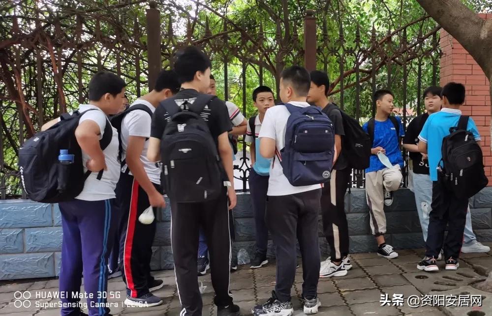 神兽归笼明天开学家长发朋友圈,神兽归笼开学视频