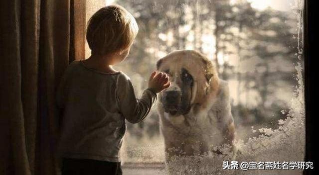 从怀孕到孩子出生的感受,从怀孕到生产的计划