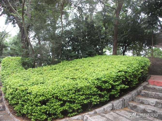 珠海炮台山：镇妖石上的“道家符箓”，揭开百年前沈亚米刺马事件