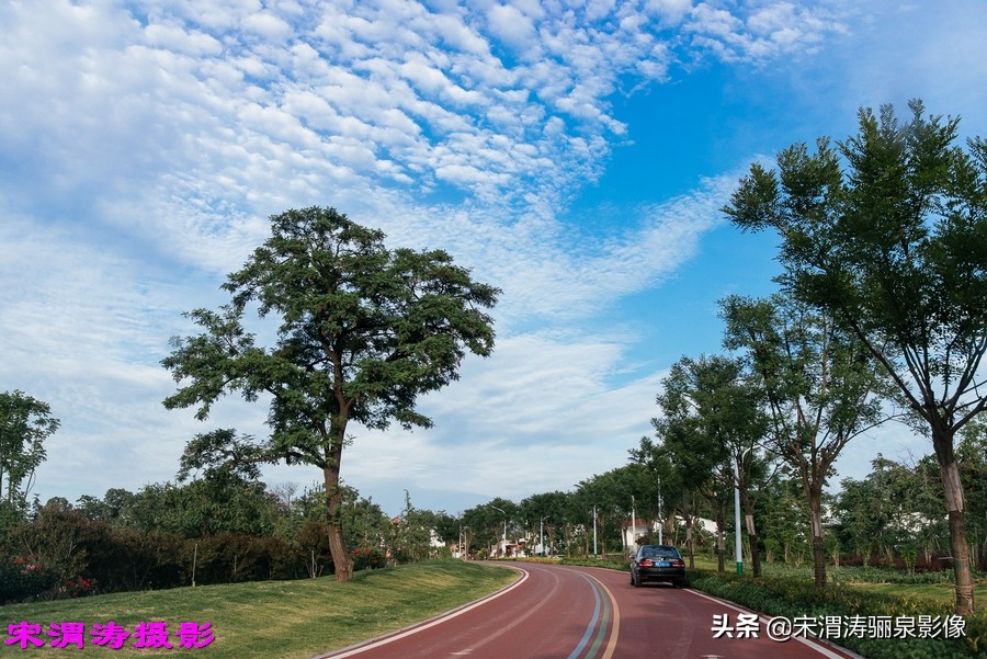健身休闲绿道,临渭区渭河南堤渭河生态运动公园