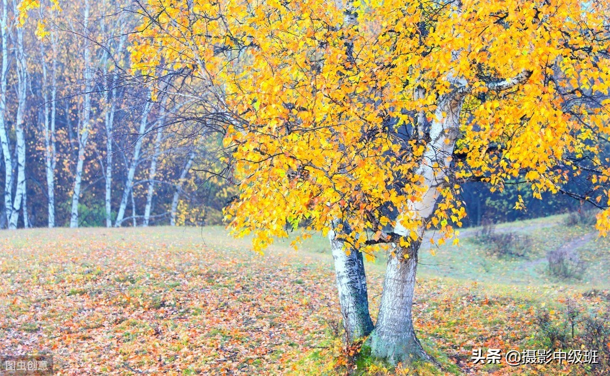 摄影构图三大禁忌,摄影构图常犯的错误新手必须谨慎