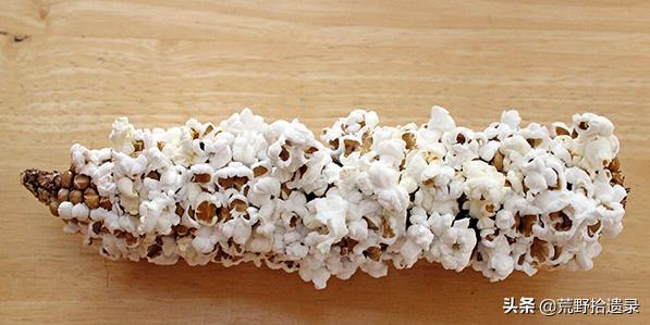 爆米花利润仅次于*卡因可**或*洛因海**，是电影院的重要组成部分