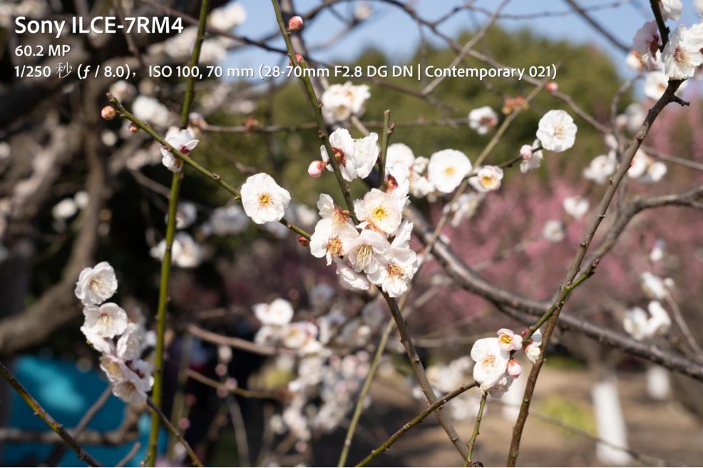 适马24-702.8二代镜头测评,适马新出的24-702.8镜头怎样