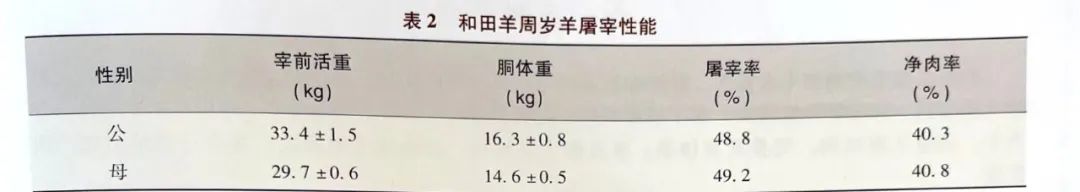 羊毛地毯,羊毛线编织地毯