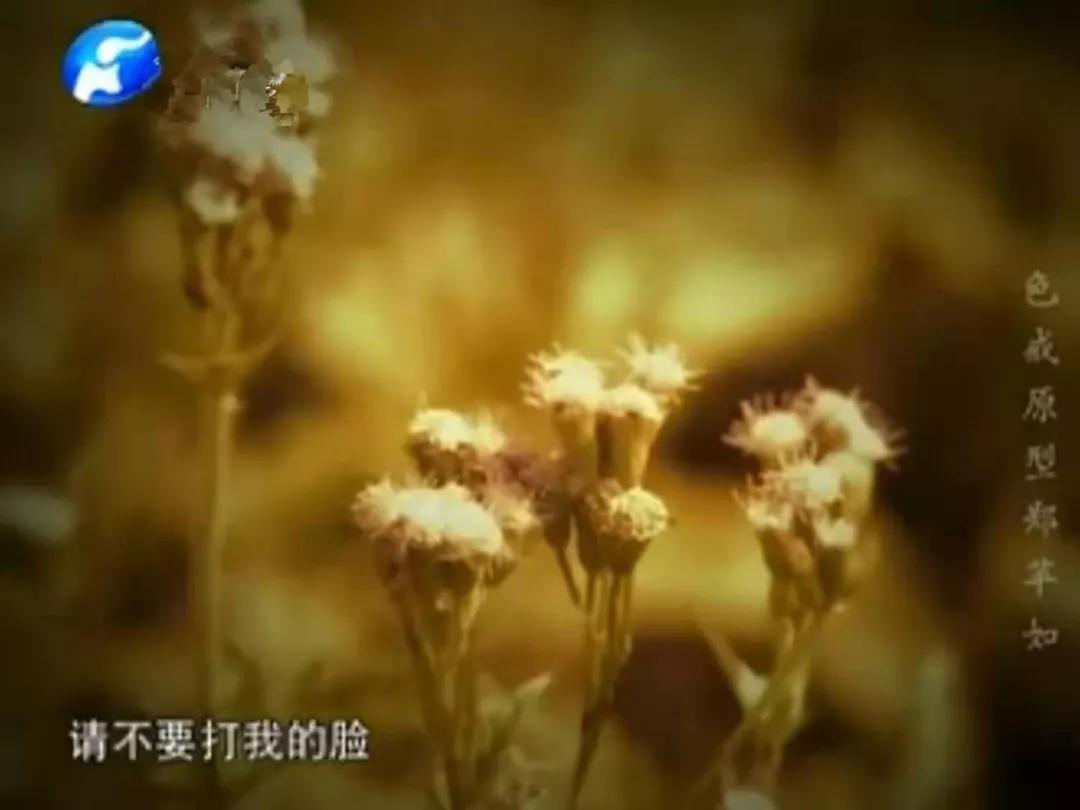 《色戒》原型郑苹如：牺牲自己诱惑汉奸，临死提了奇怪的遗言