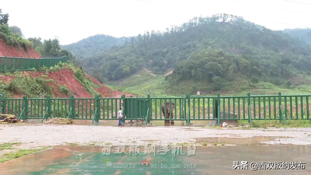 浜鸿薄鍜岃皭鍏卞,浜烘槸鎬庢牱涓庤嚜鐒跺拰璋愮浉澶勭殑浜嬩緥
