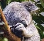 家用黑科技床垫折叠,黑科技防打鼾床垫